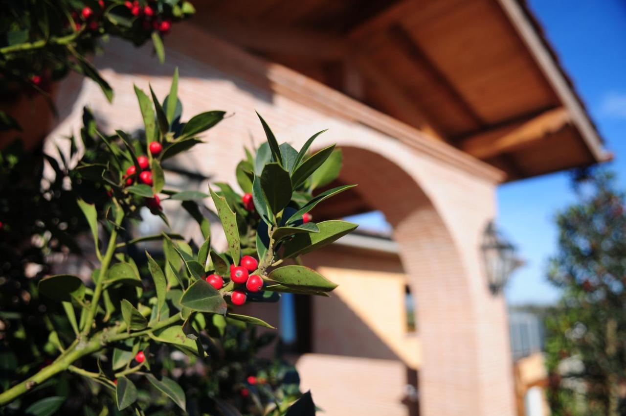 مبيت وإفطار بوشّييا Poggio Dei Cavalieri المظهر الخارجي الصورة